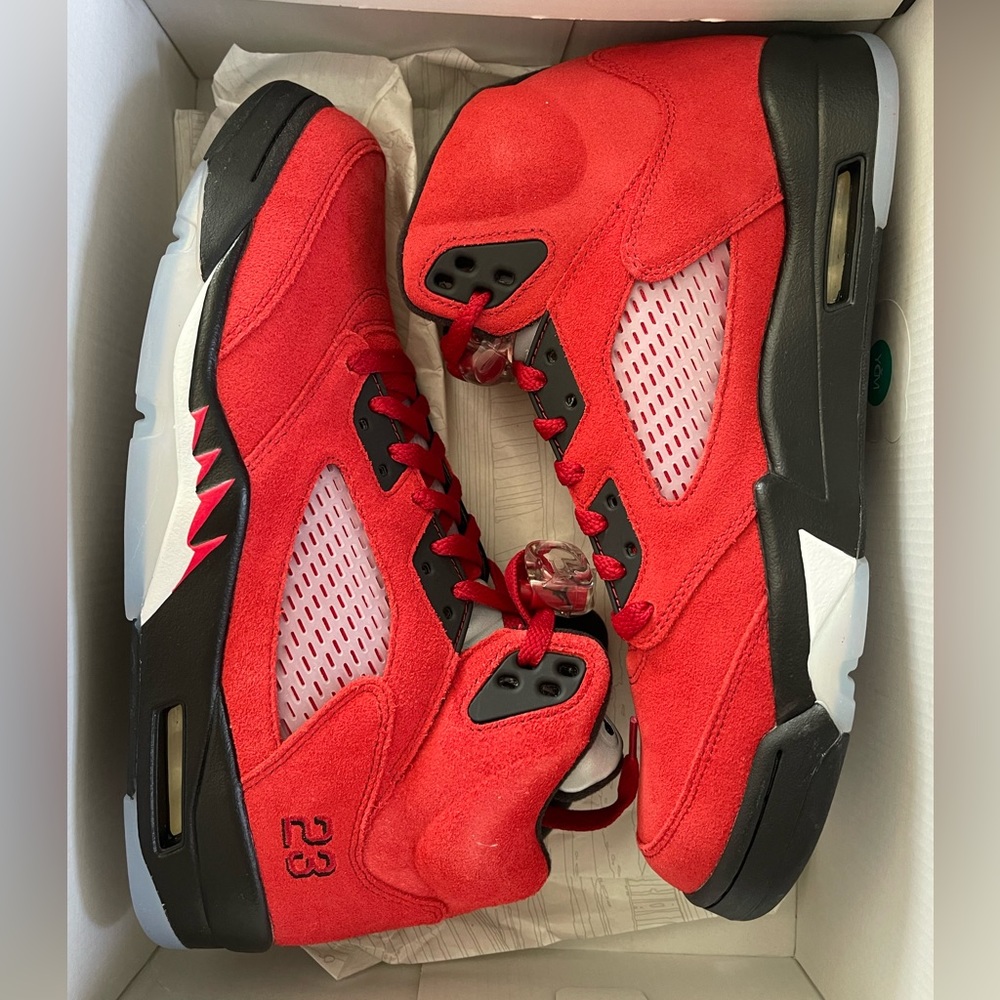 Air Jordan 5 Raging Bull